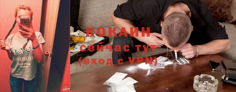 Cocaine VHQ  купить закладку  Новокубанск 